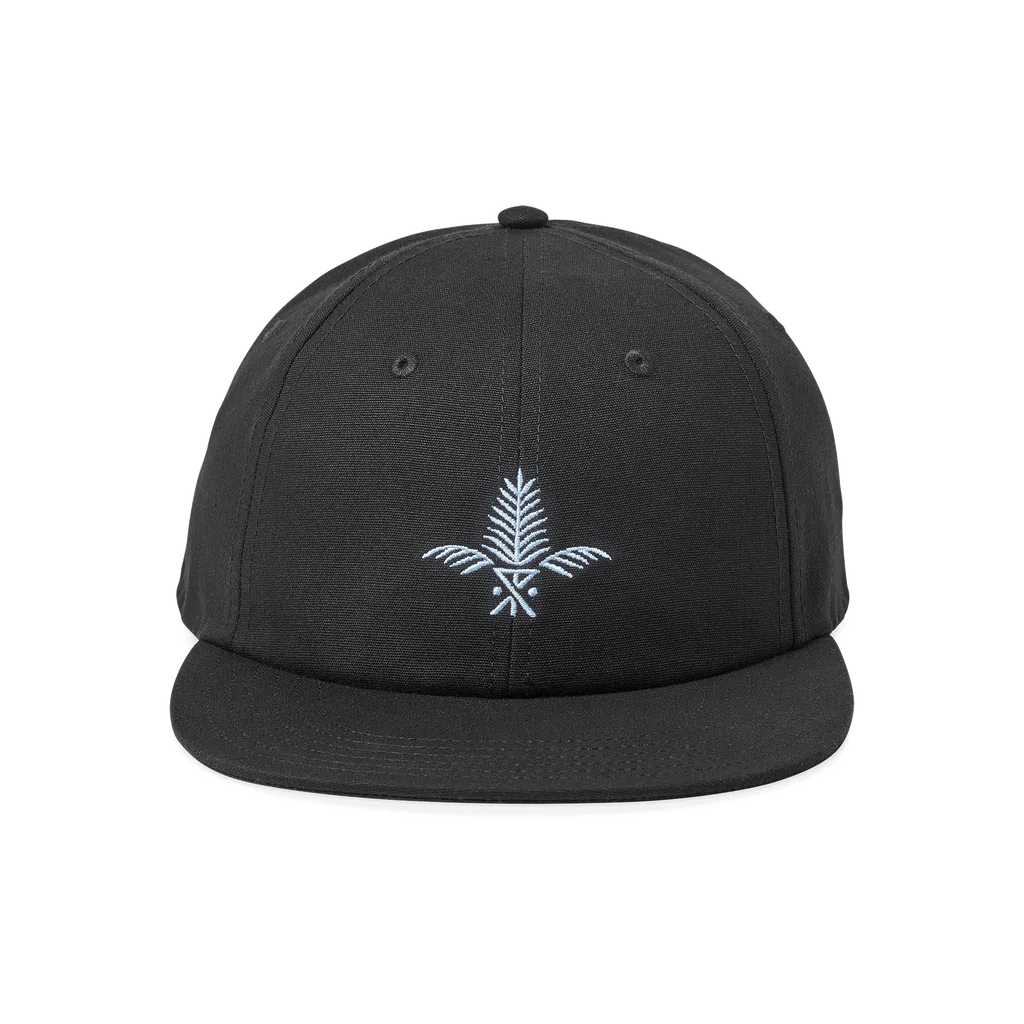 Silver Fern 6 Panel Black