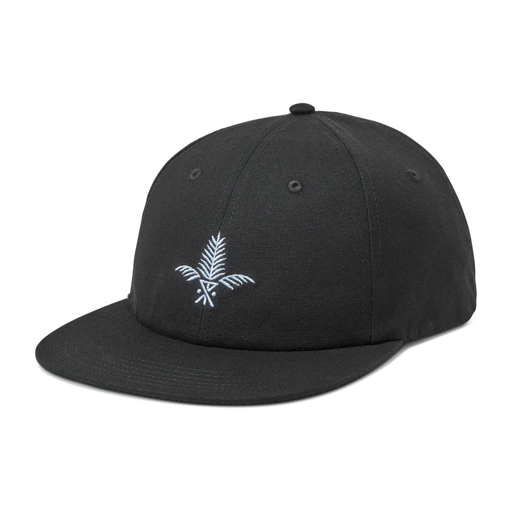 Silver Fern 6 Panel Black