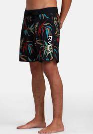 Eastern Trunk18 M Bdsh RLG0