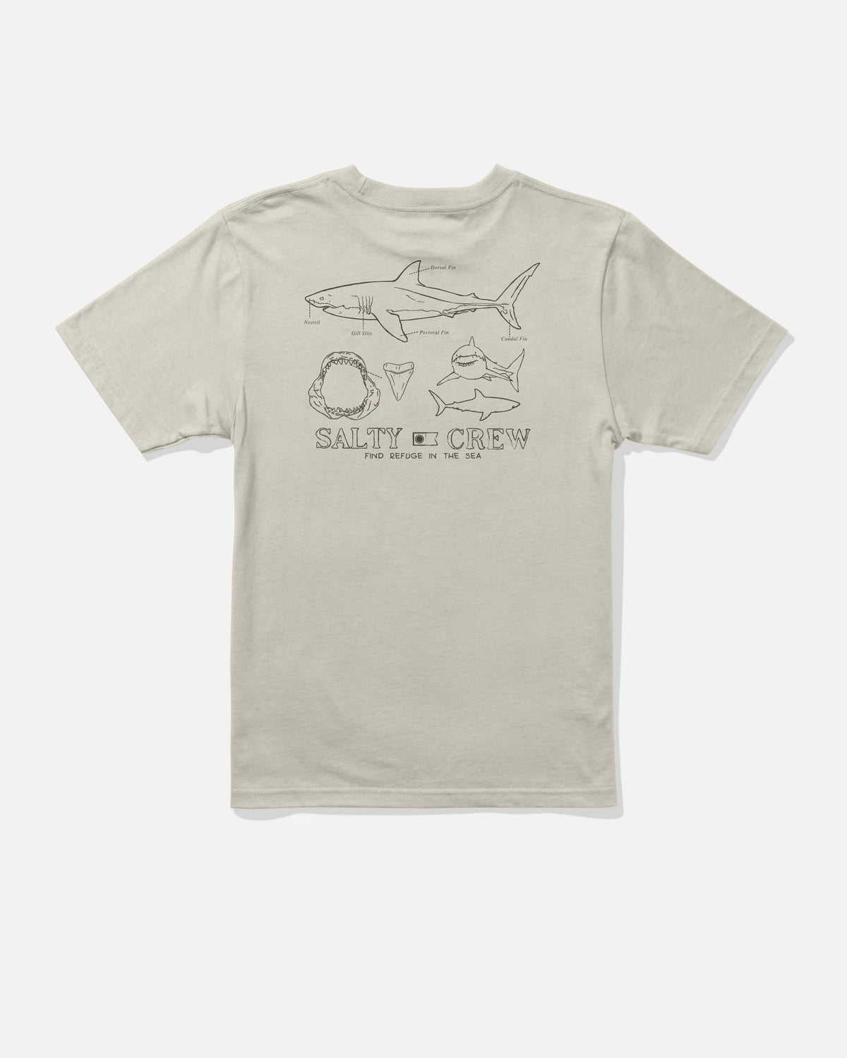 Great White Boys Tee - Bone