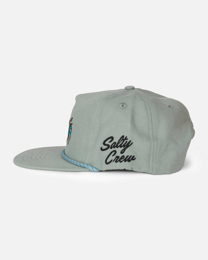 Coastal Snapback - Iceberg
