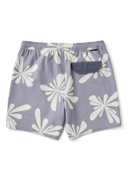 Solstice 16" Boys Ecolastic-DLI